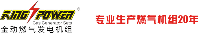 供應(yīng)天然氣發(fā)電機(jī)組,天然氣發(fā)電機(jī)價(jià)格,山東天燃?xì)獍l(fā)電機(jī)組,深圳天燃?xì)獍l(fā)電機(jī),廣東天燃?xì)獍l(fā)電機(jī),進(jìn)口天燃?xì)獍l(fā)電機(jī),沼氣發(fā)電機(jī)組,沼氣發(fā)電機(jī)組生產(chǎn)商,沼氣發(fā)電機(jī)廠(chǎng)家,供應(yīng)沼氣發(fā)電機(jī),供應(yīng)沼氣發(fā)電機(jī)組