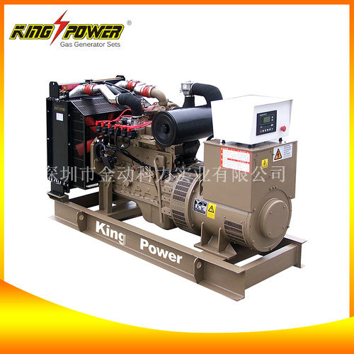 【沼氣發(fā)電機(jī)廠家】讓污染成為能源的一種！