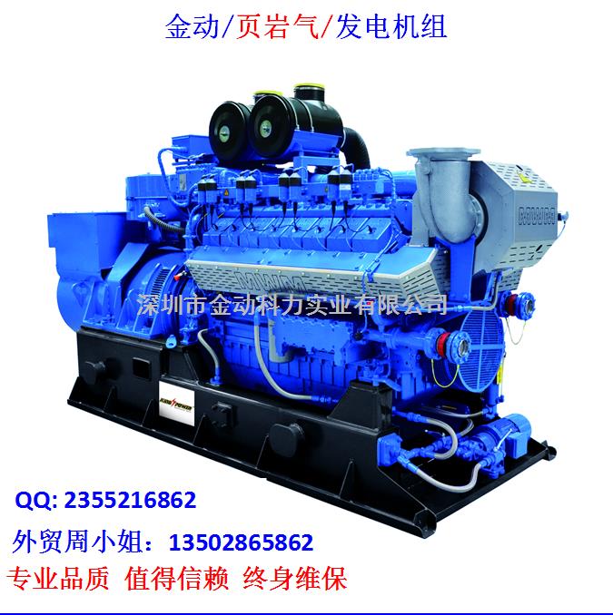 【深圳頁巖氣發(fā)電機(jī)】 發(fā)展趨勢無懈可擋！