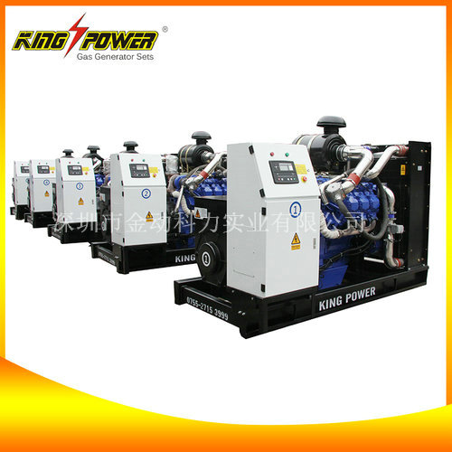 沼氣發(fā)電機組,沼氣發(fā)電機組生產(chǎn)商